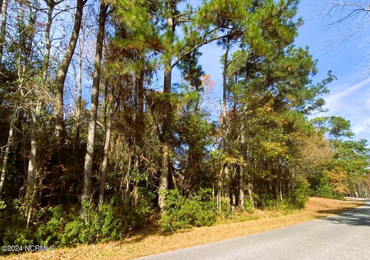610 Sawgrass Road Hampstead, NC 28443 - Photo 3 of 11 610 Sawgrass Rd lot