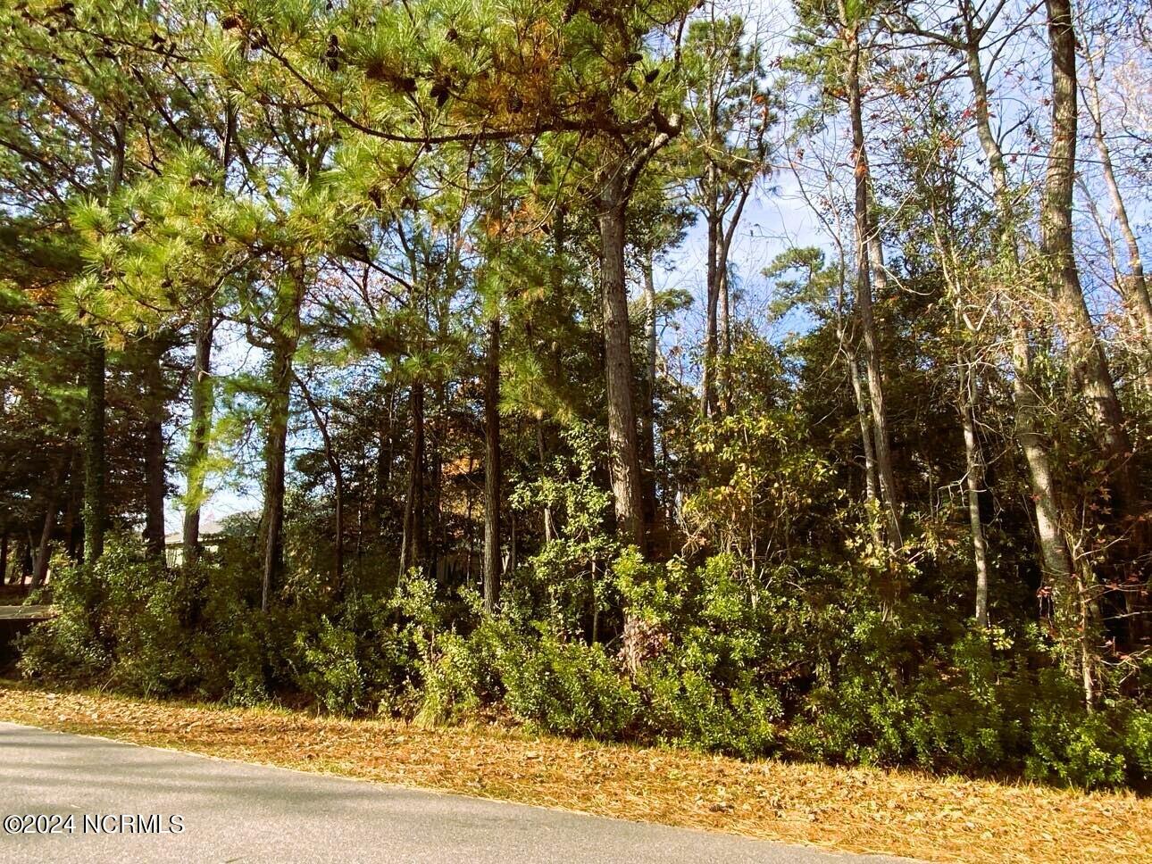 610 Sawgrass Road Hampstead, NC 28443 - Photo 4 of 11 610 Sawgrass Rd lot 2