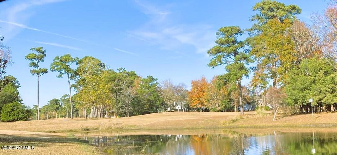 610 Sawgrass Road Hampstead, NC 28443 - Photo 10 of 11 Olde Point Golf Course