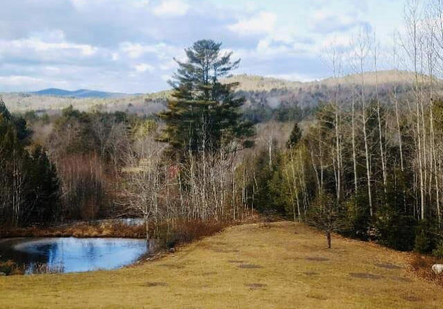 480 Saddleback Road West Baldwin, ME 04091 - Photo 60 of 65 image11 (2)