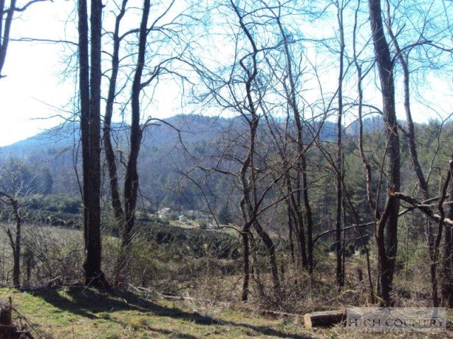 504 Burnt Hill Road Laurel Springs, NC 28644 - Photo 11 of 13 Gallery Image 11