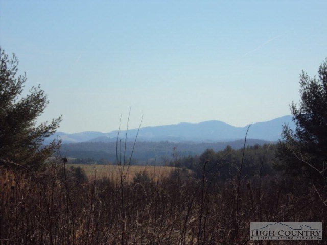 504 Burnt Hill Road Laurel Springs, NC 28644 - Photo 8 of 13 Gallery Image 8