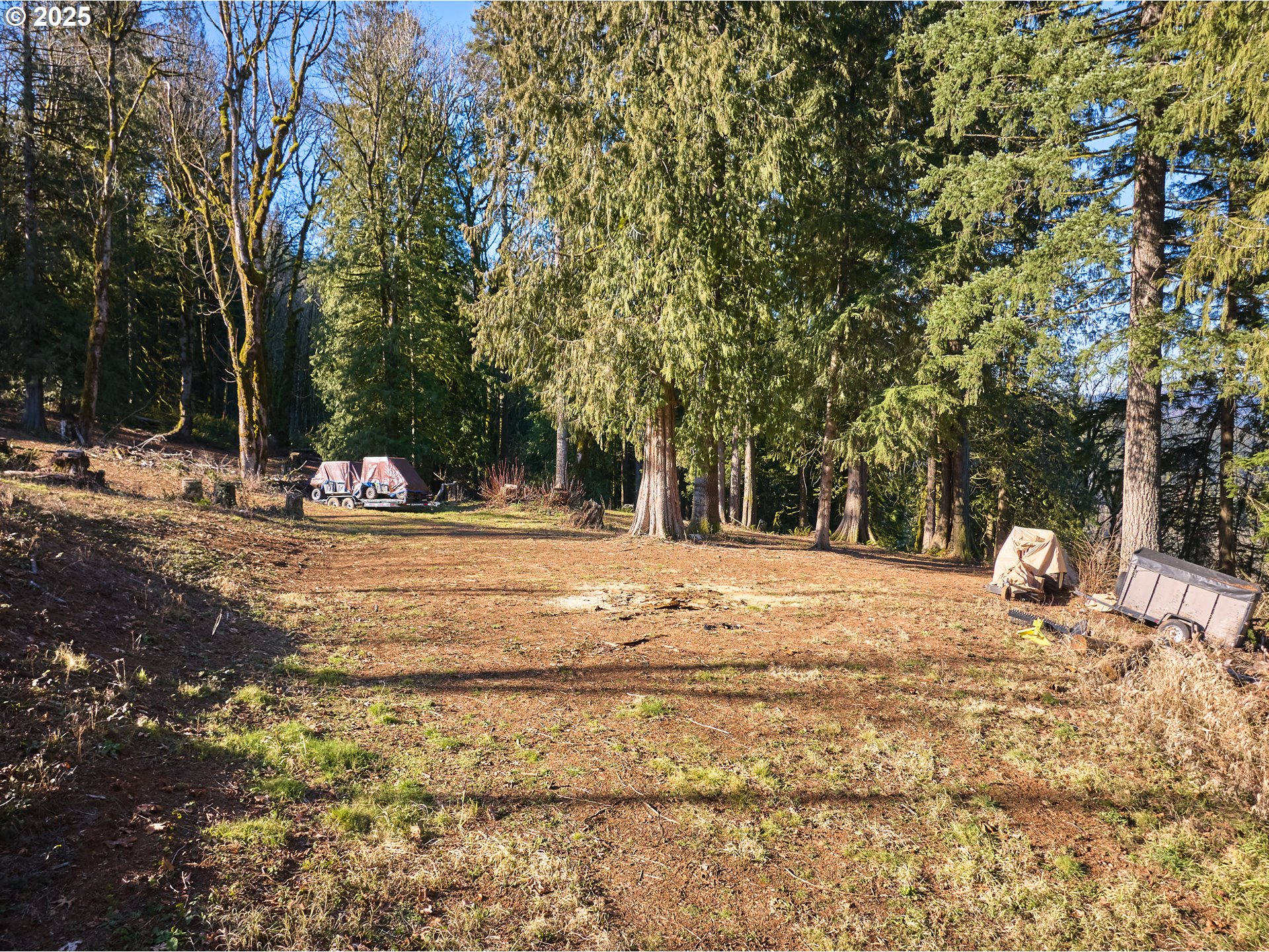 452 Wildlife Road Washougal, WA 98671 - Photo 11 of 25