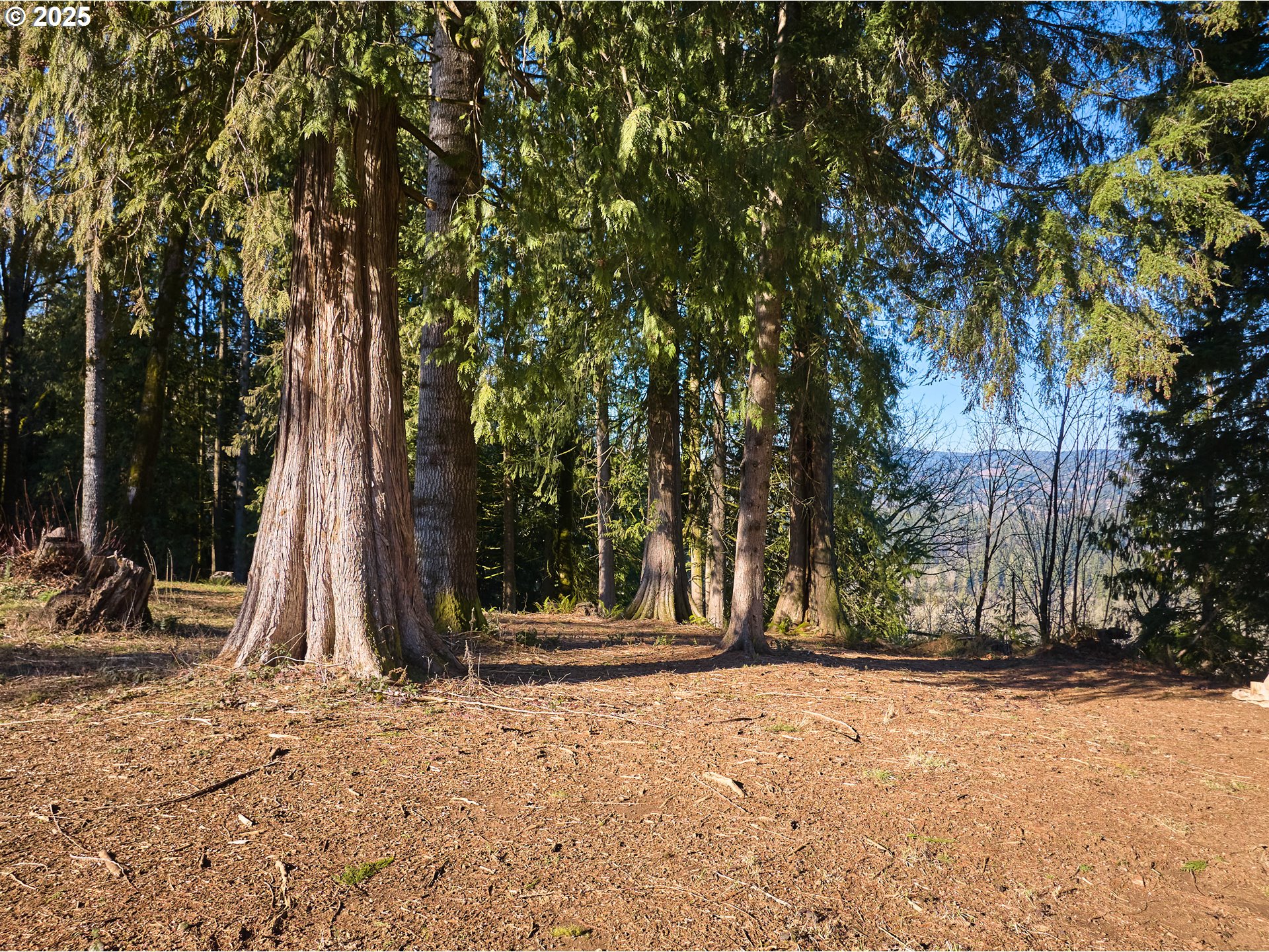 452 Wildlife Road Washougal, WA 98671 - Photo 12 of 25