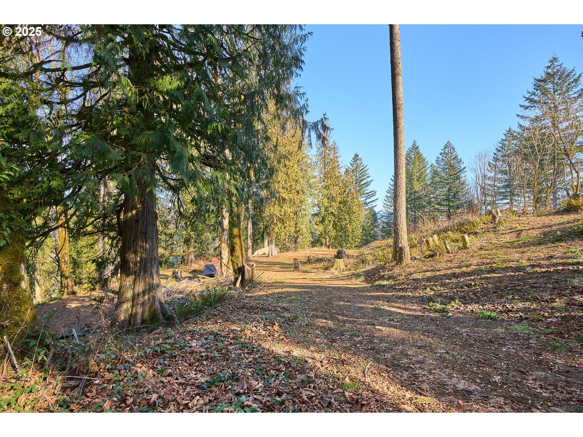 452 Wildlife Road Washougal, WA 98671 - Photo 13 of 25