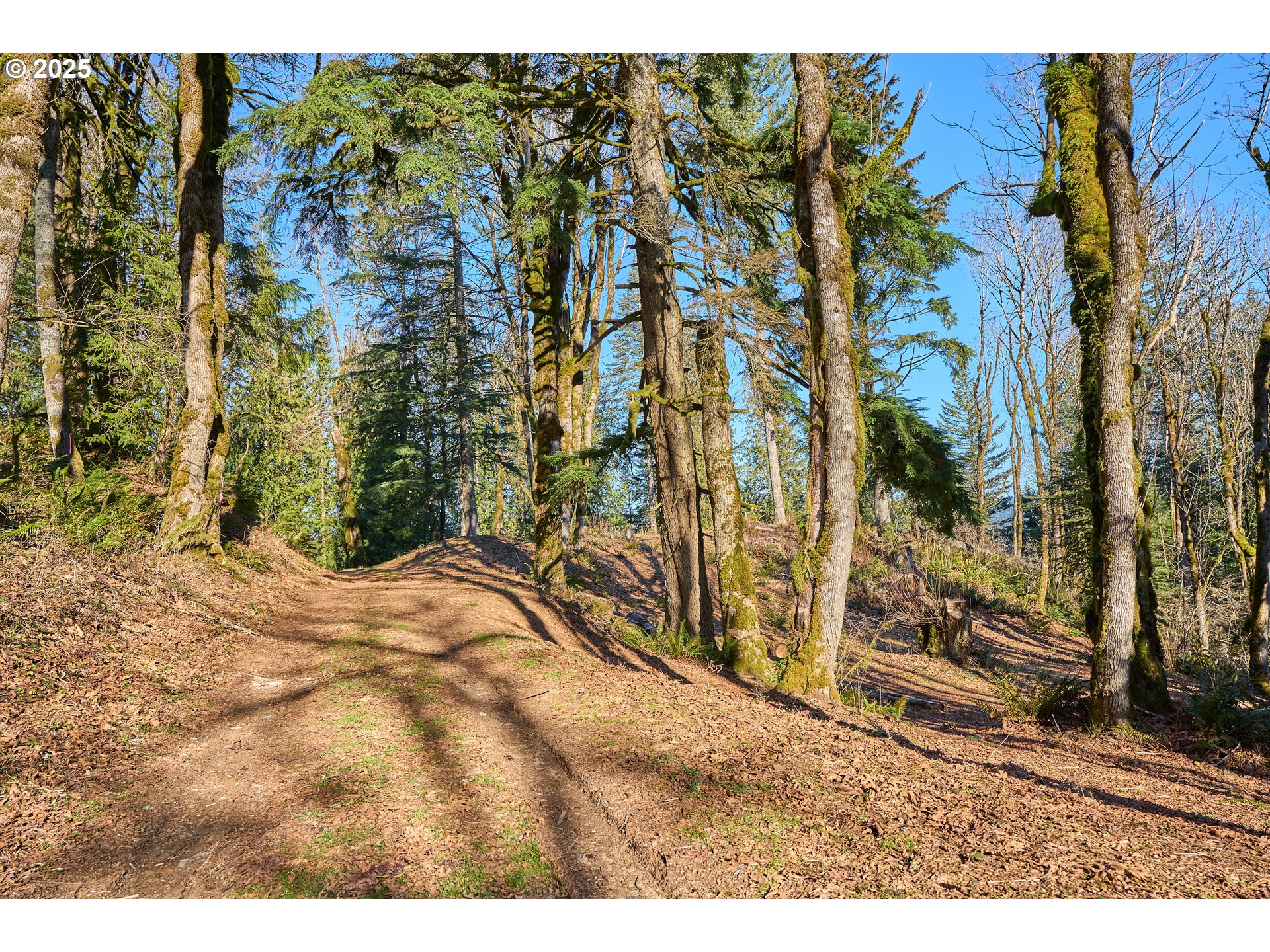 452 Wildlife Road Washougal, WA 98671 - Photo 14 of 25