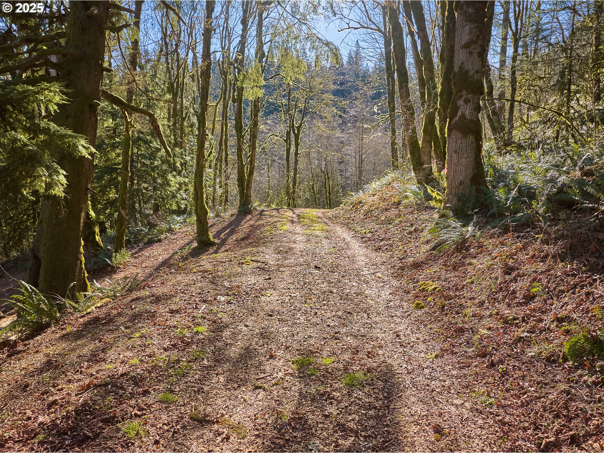 452 Wildlife Road Washougal, WA 98671 - Photo 15 of 25