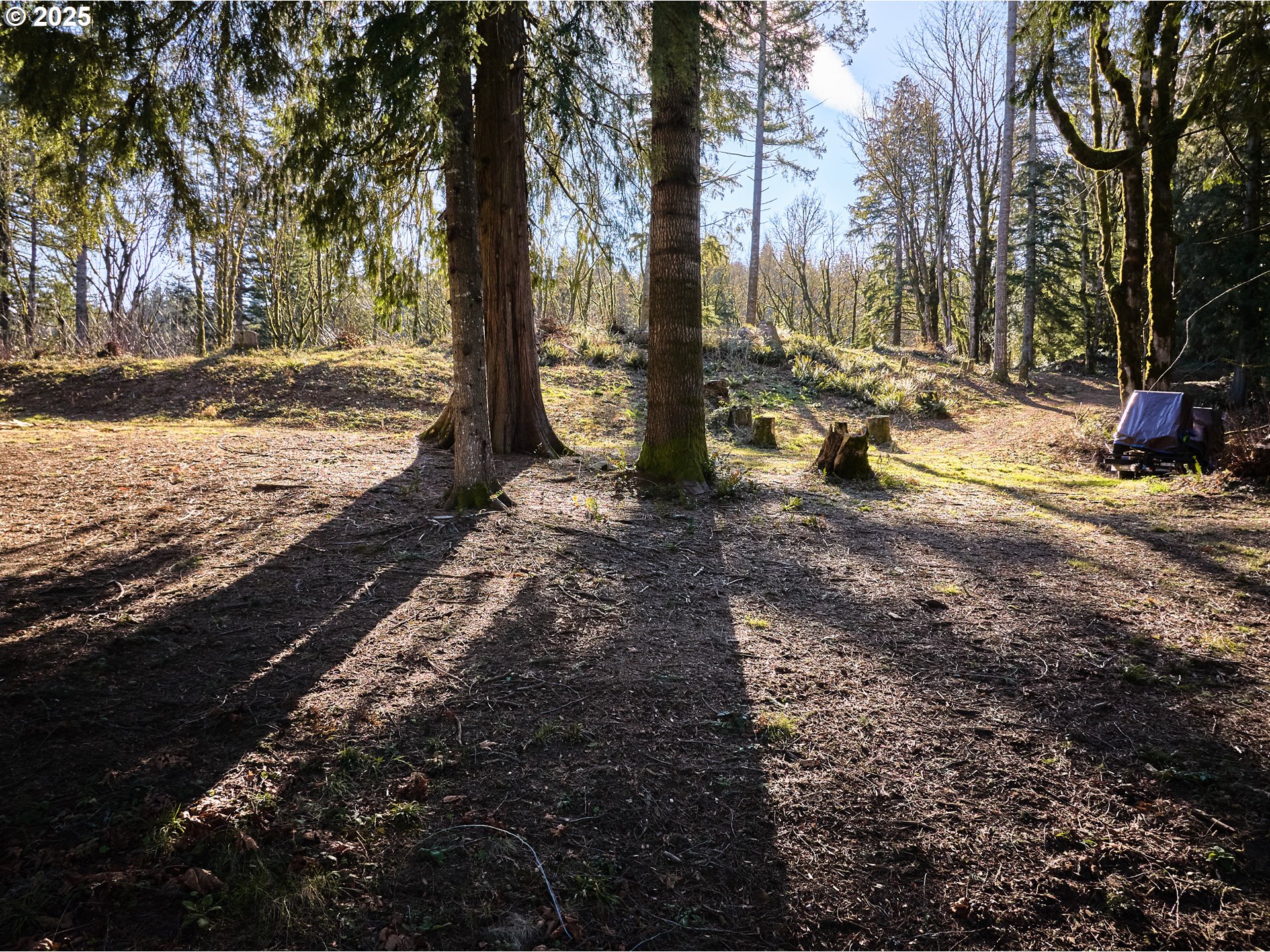 452 Wildlife Road Washougal, WA 98671 - Photo 16 of 25