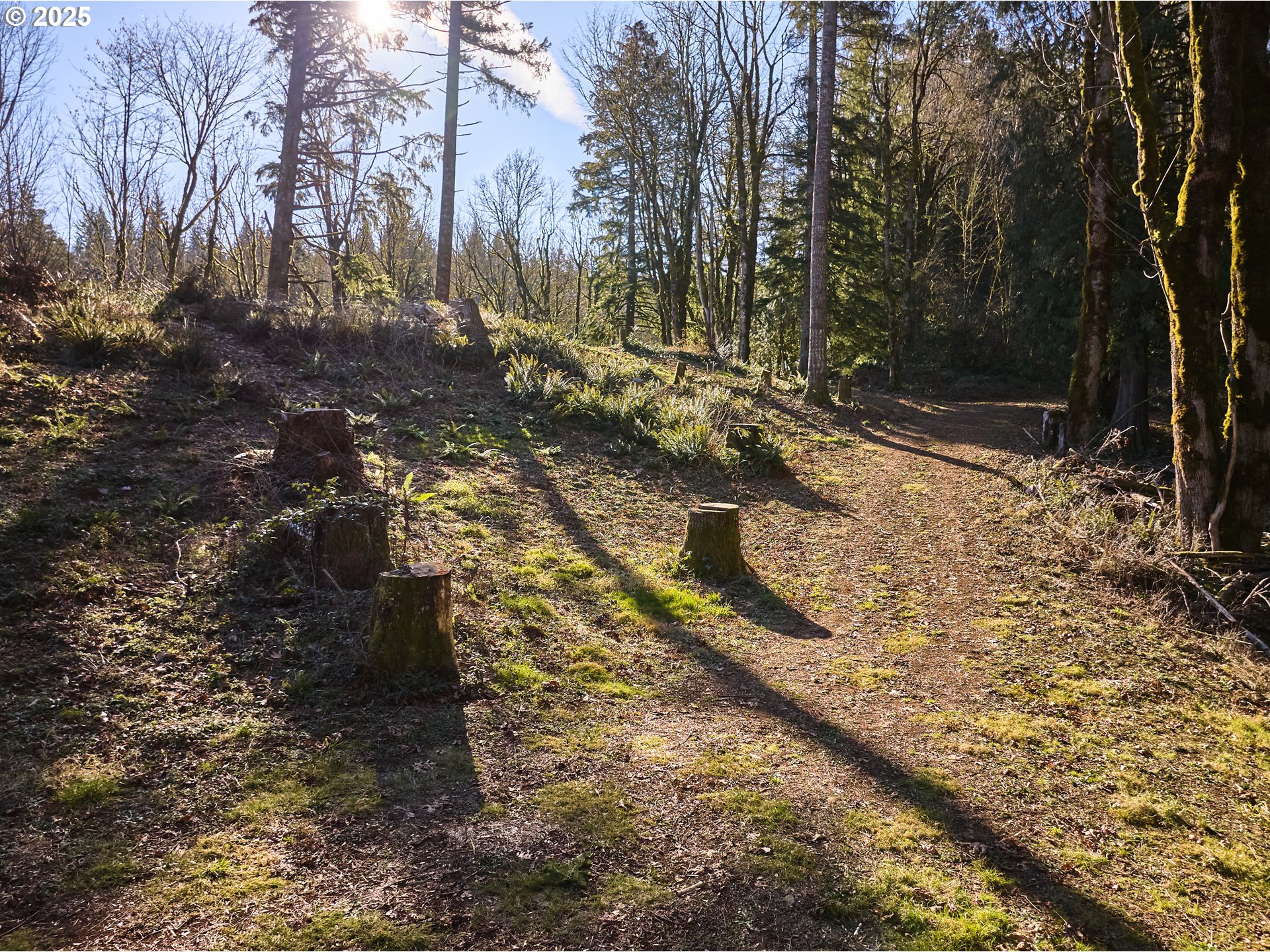 452 Wildlife Road Washougal, WA 98671 - Photo 17 of 25