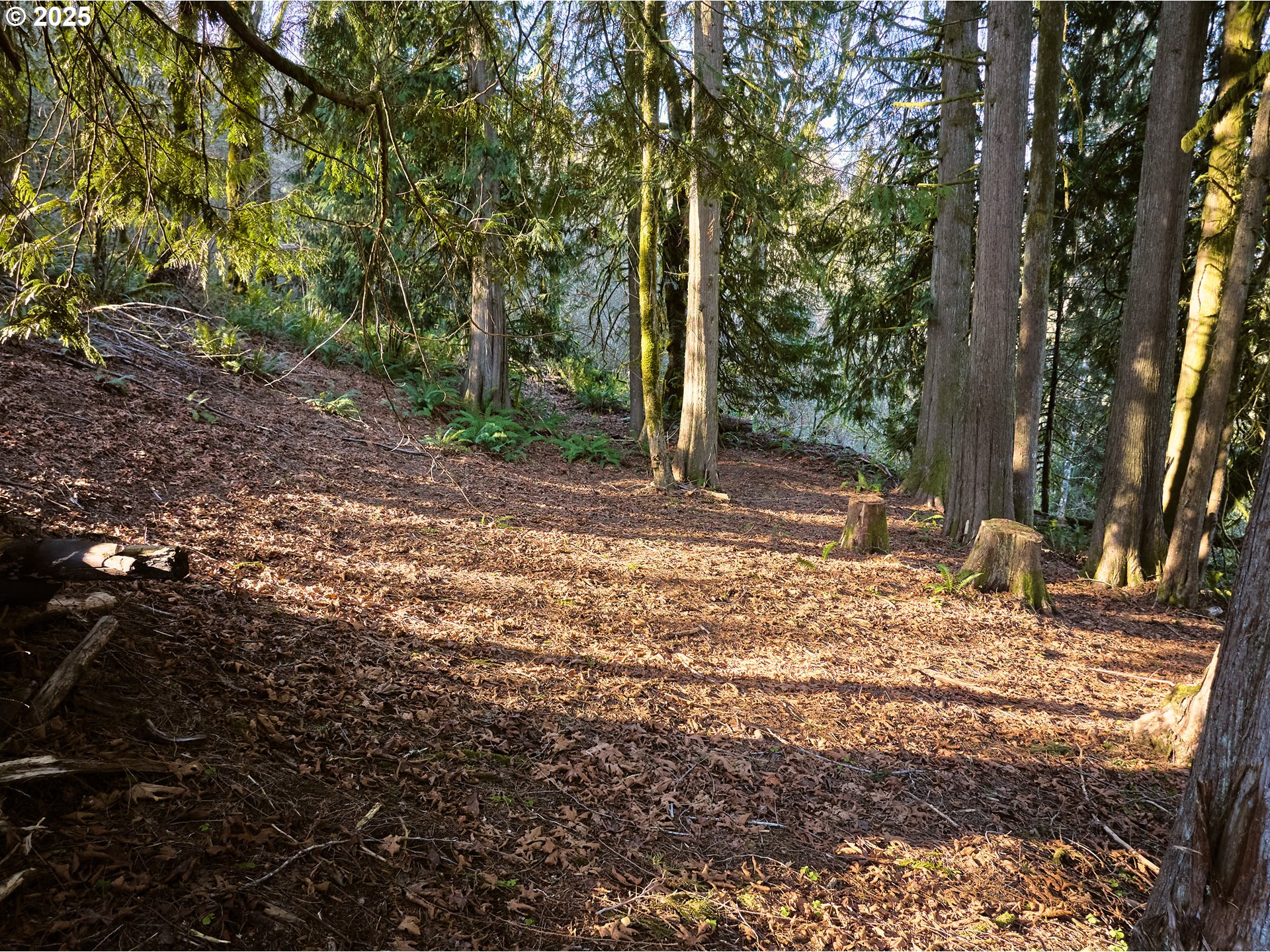 452 Wildlife Road Washougal, WA 98671 - Photo 19 of 25