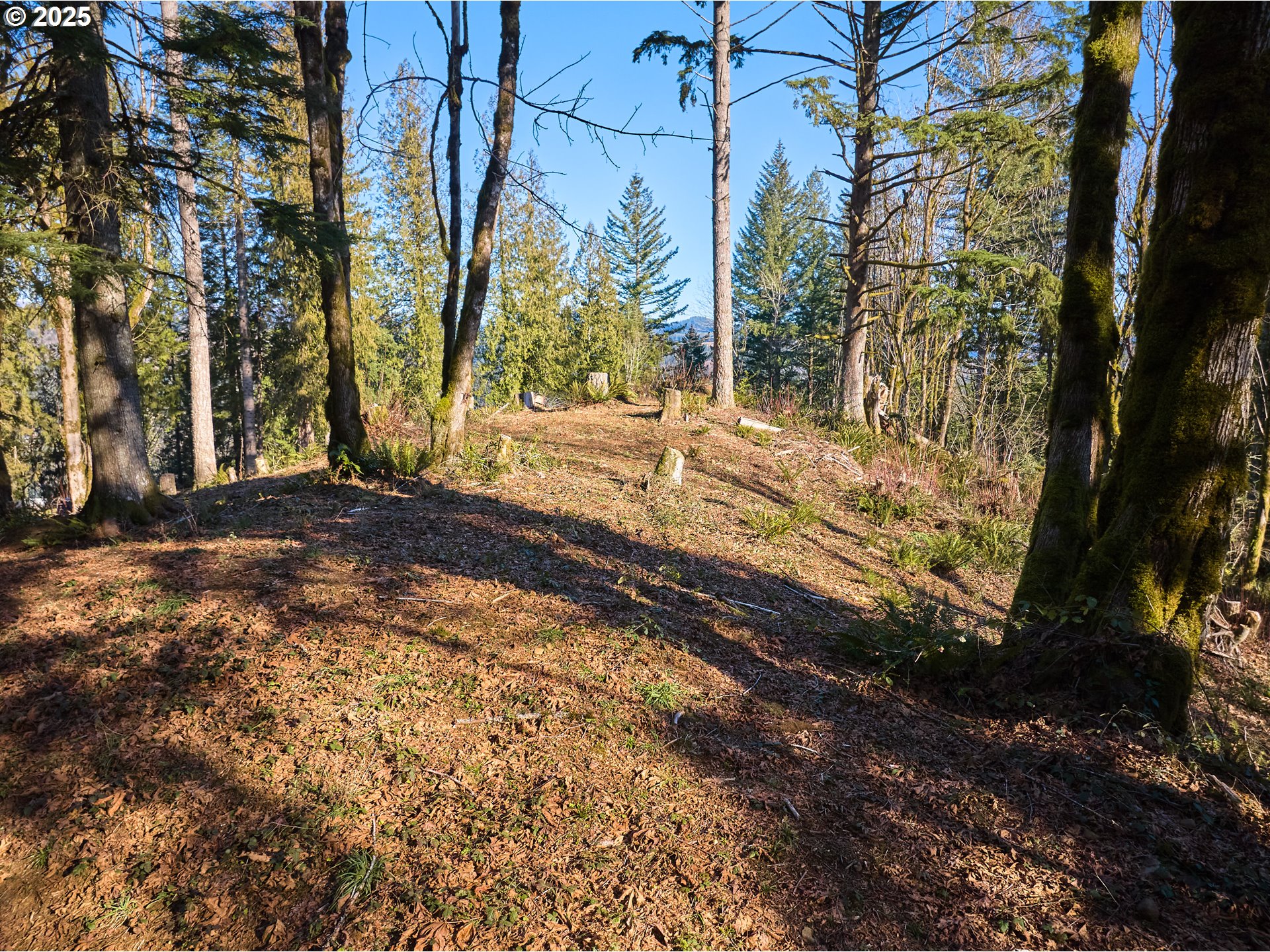 452 Wildlife Road Washougal, WA 98671 - Photo 21 of 25