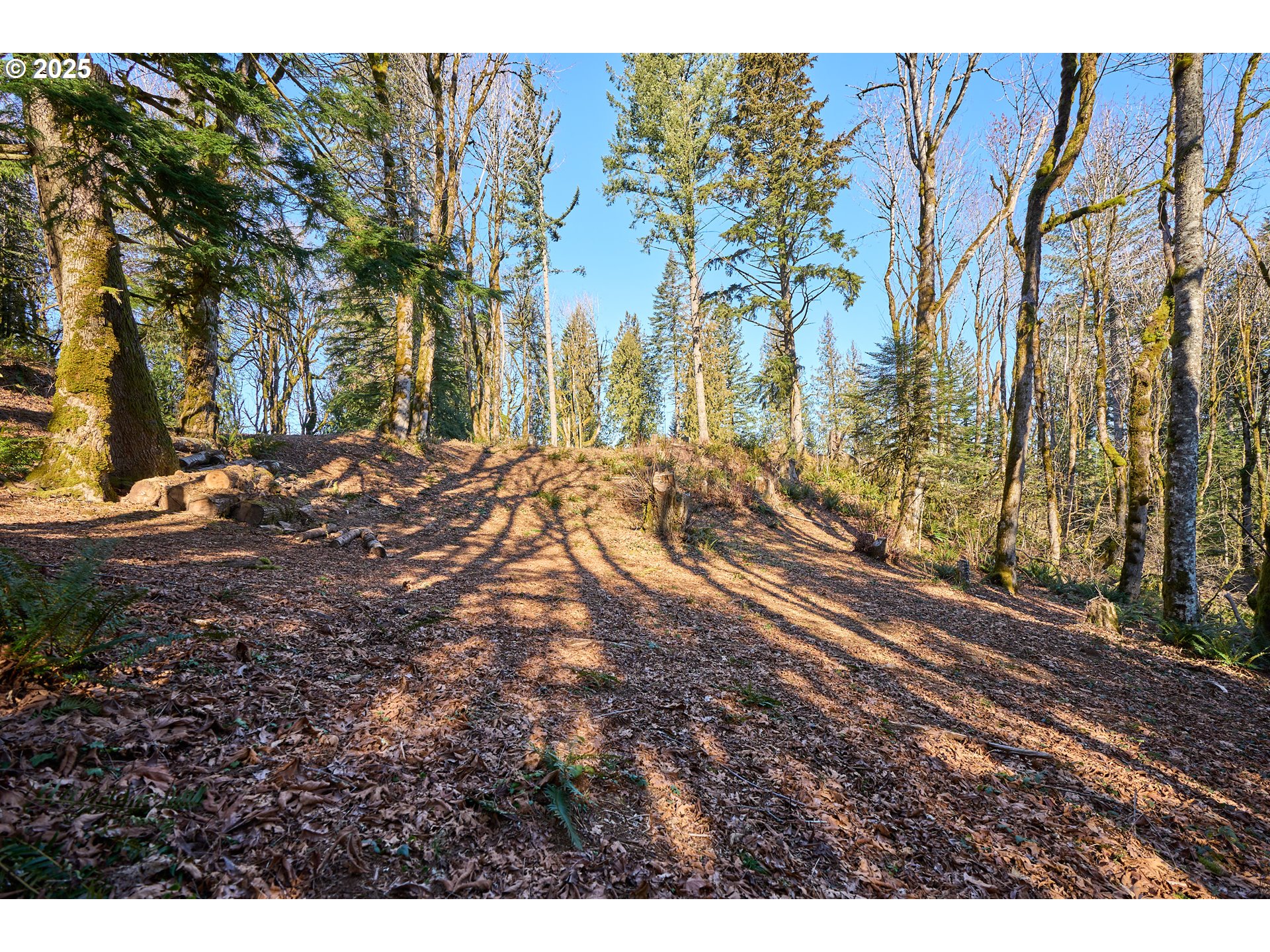 452 Wildlife Road Washougal, WA 98671 - Photo 22 of 25