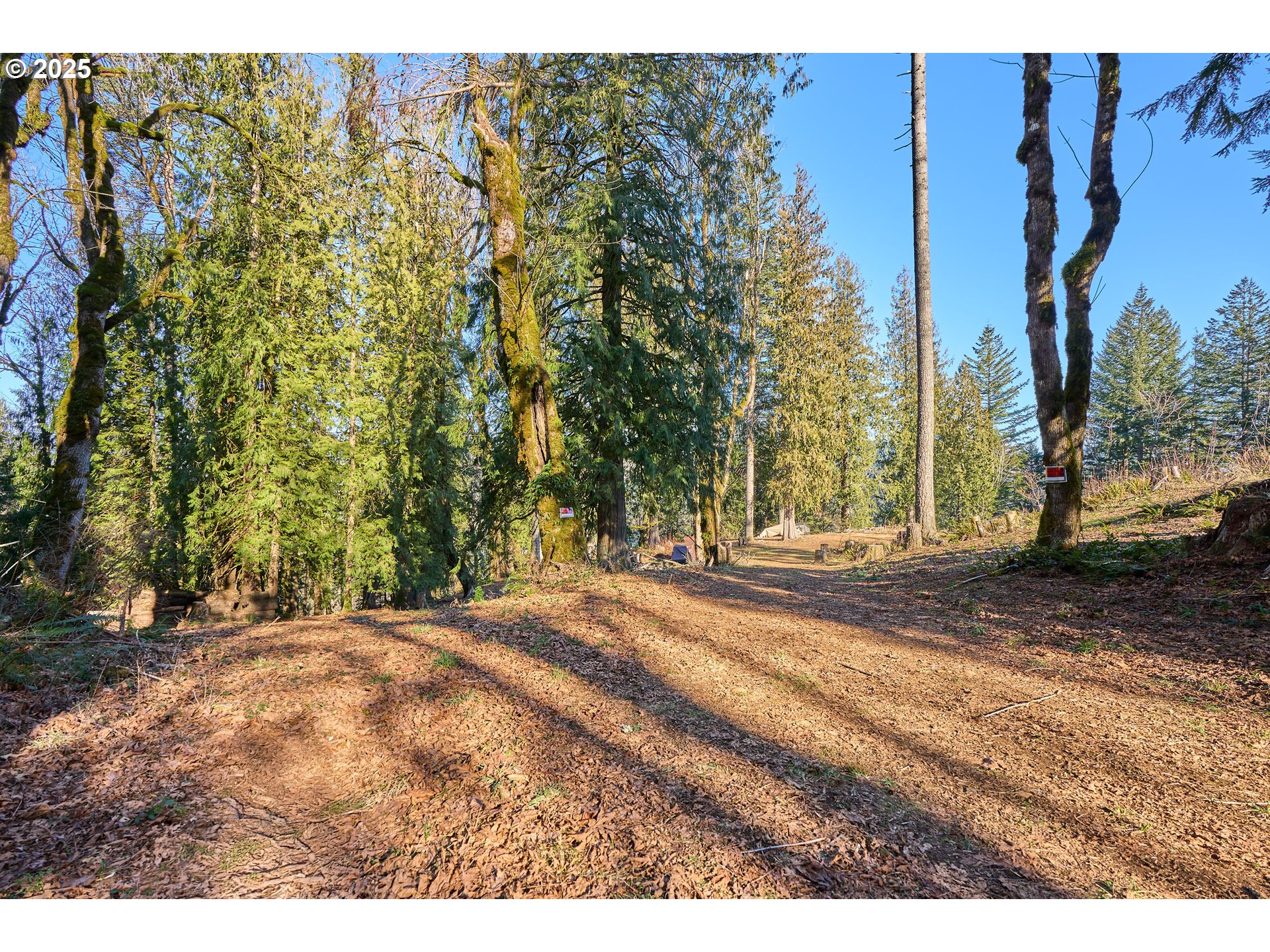 452 Wildlife Road Washougal, WA 98671 - Photo 23 of 25