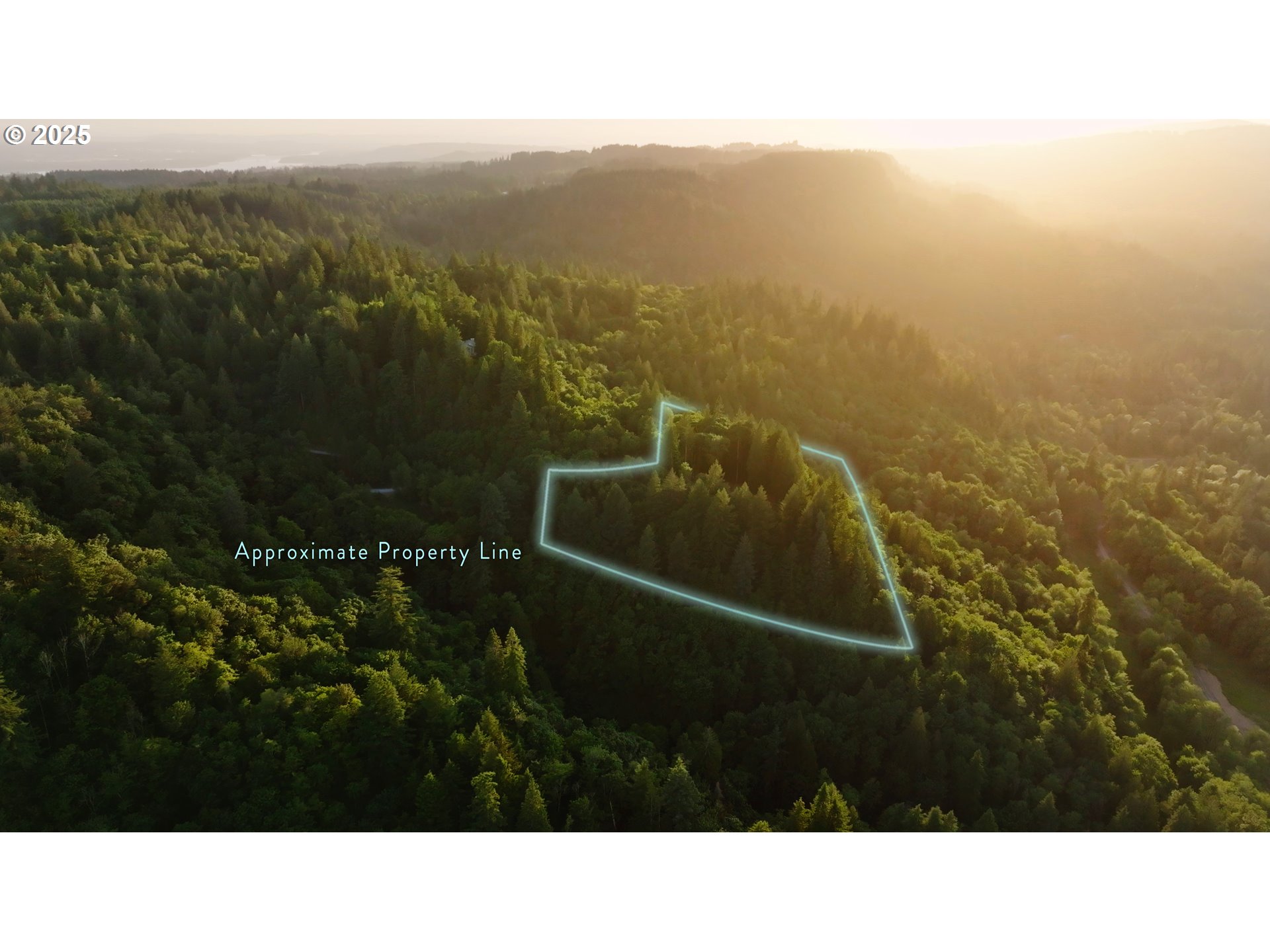 452 Wildlife Road Washougal, WA 98671 - Photo 3 of 25