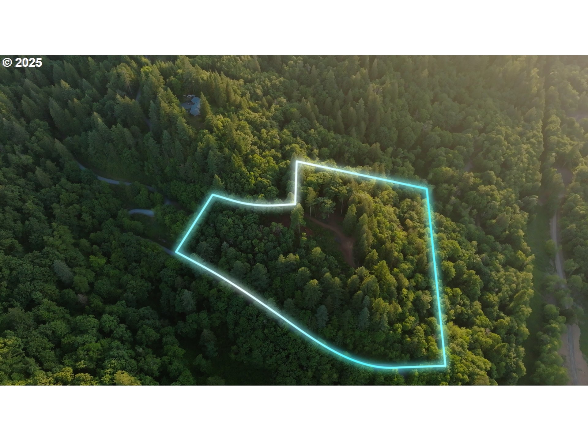 452 Wildlife Road Washougal, WA 98671 - Photo 4 of 25