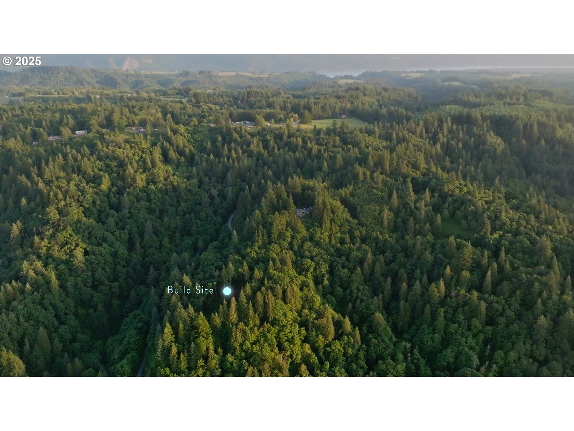 452 Wildlife Road Washougal, WA 98671 - Photo 5 of 25