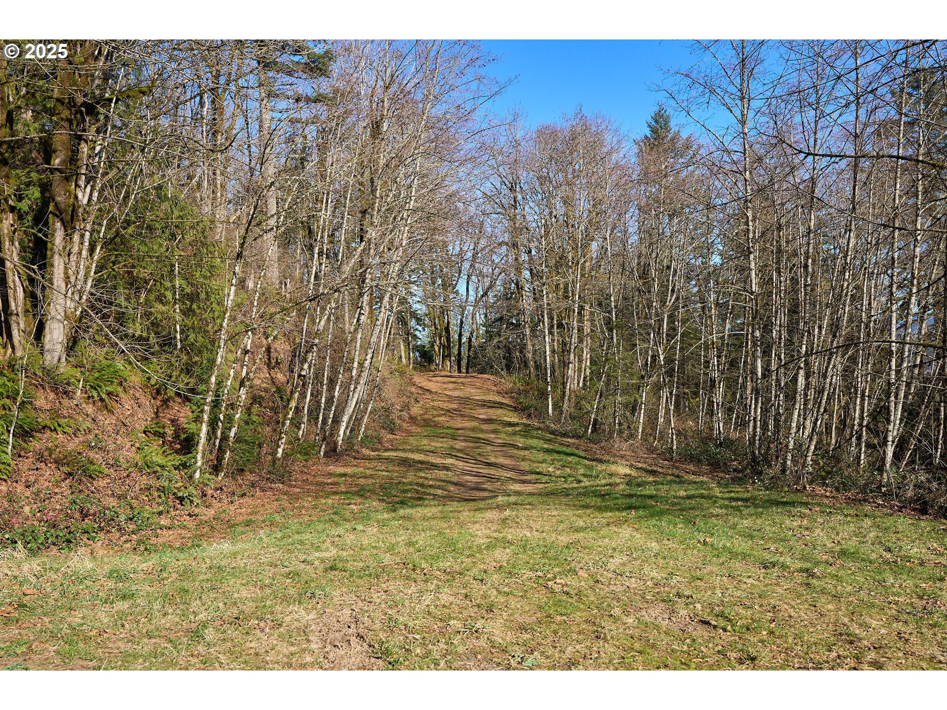 452 Wildlife Road Washougal, WA 98671 - Photo 6 of 25