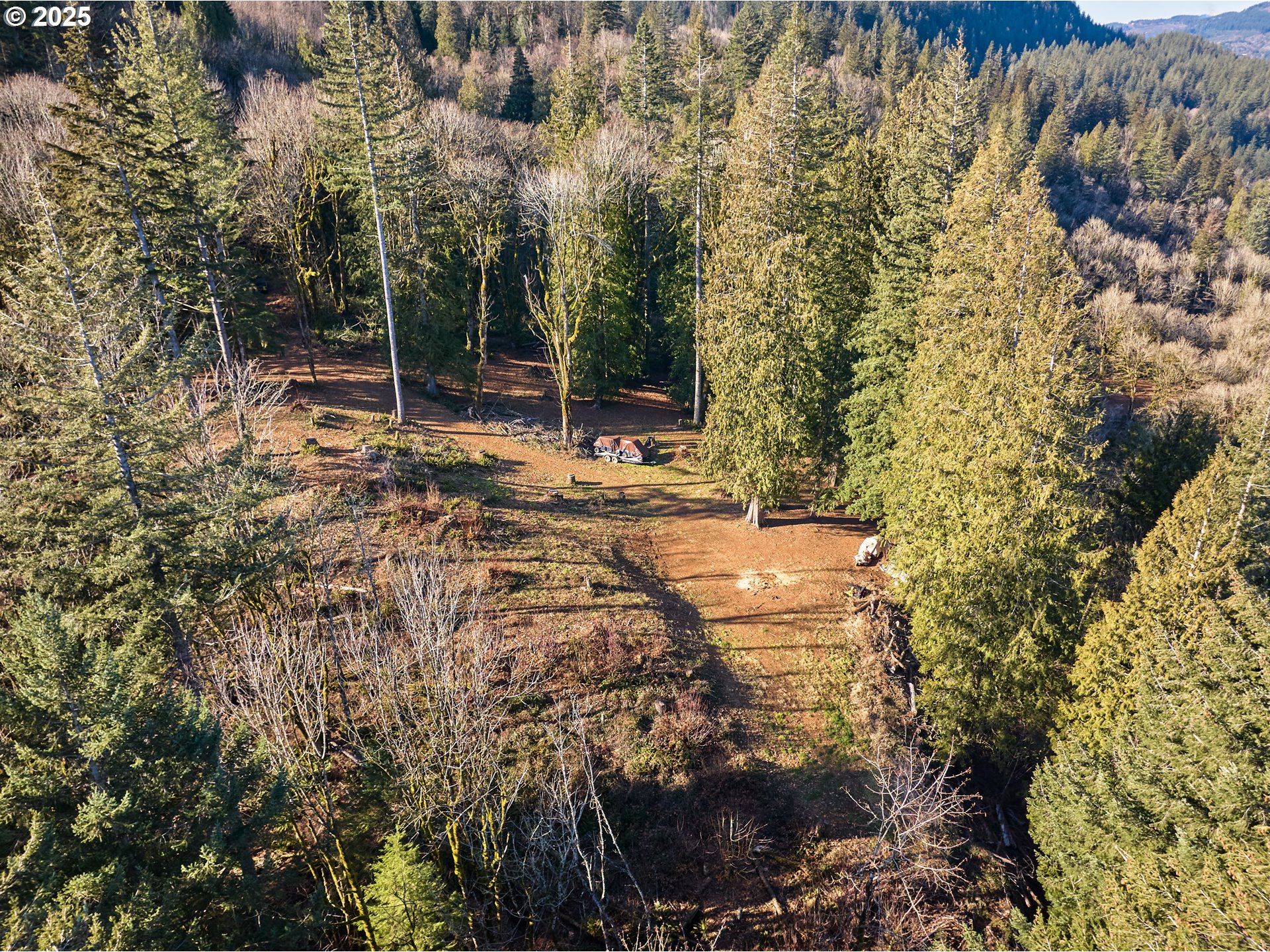 452 Wildlife Road Washougal, WA 98671 - Photo 7 of 25