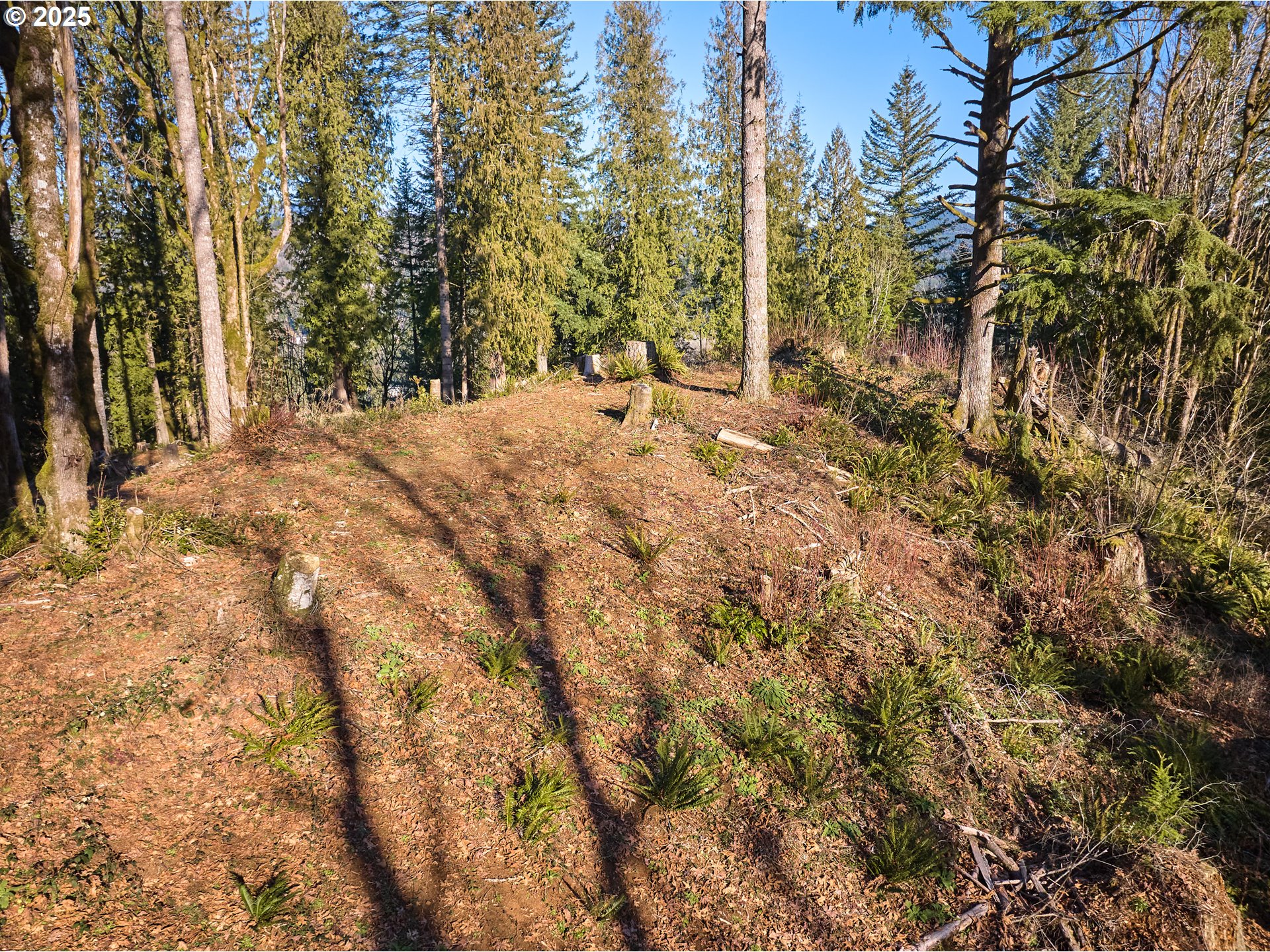 452 Wildlife Road Washougal, WA 98671 - Photo 9 of 25