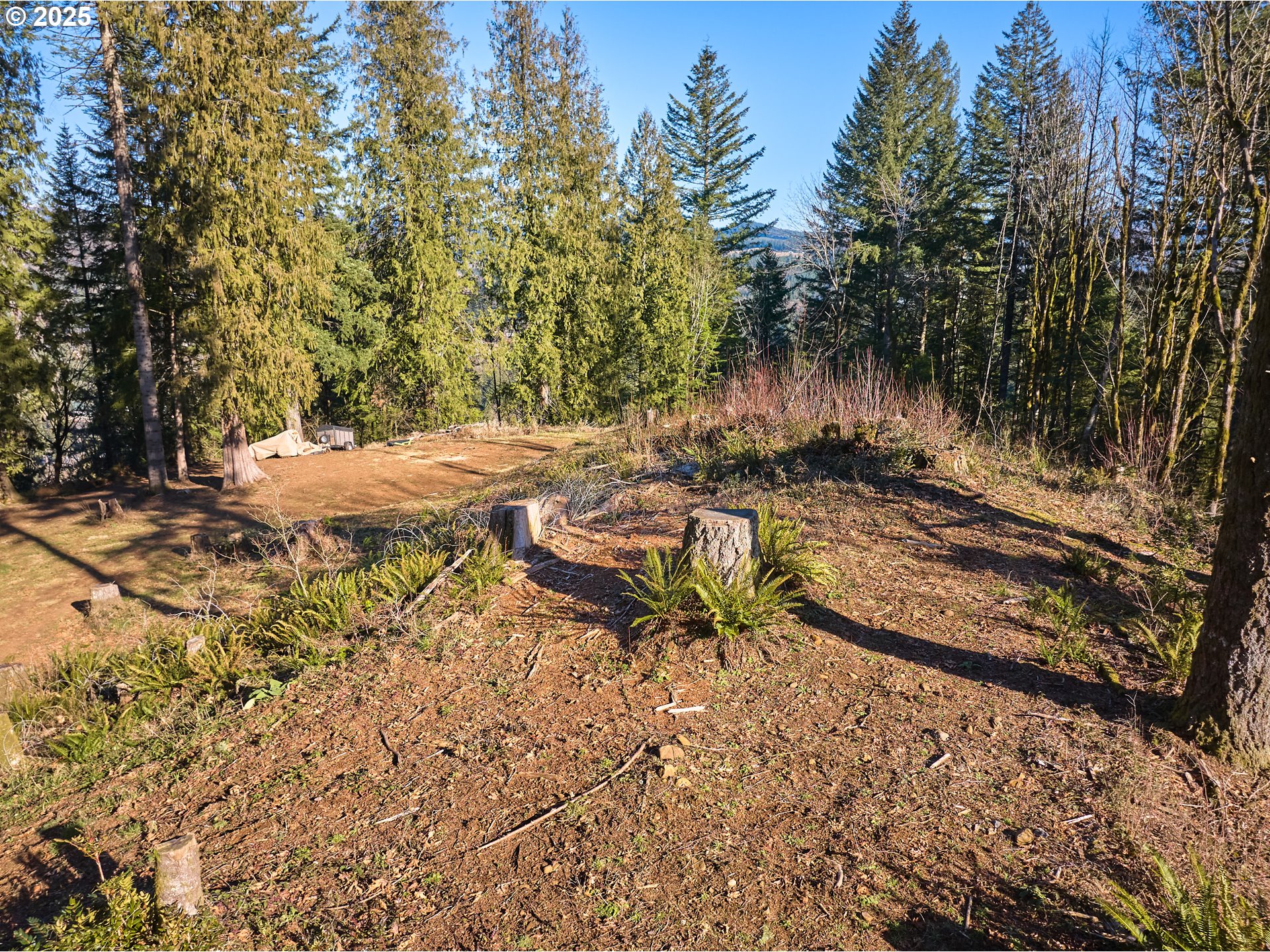 452 Wildlife Road Washougal, WA 98671 - Photo 10 of 25