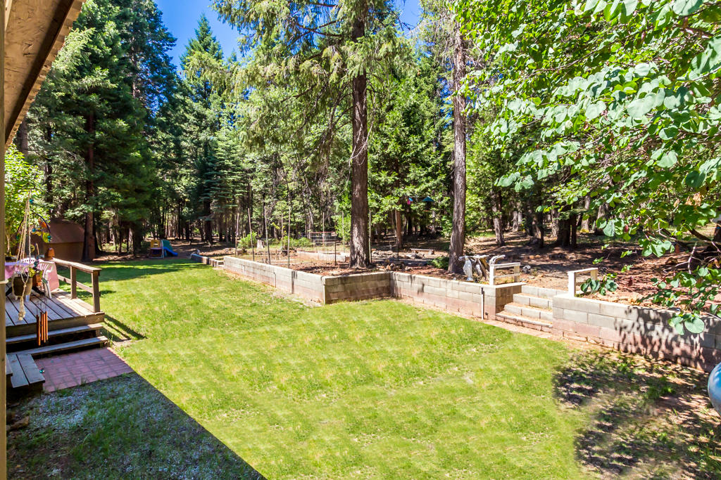 8282 Lake McCumber Road Shingletown, CA 96088 - Photo 25 of 34 65 backyard
