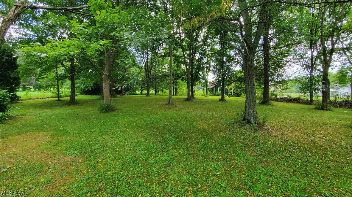 6111 Beach Road Wadsworth, OH 44281 - Photo 21 of 23 Gallery Image 21
