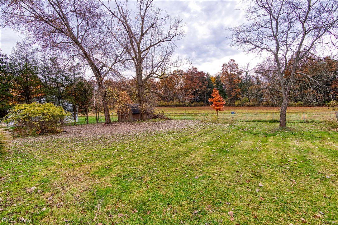 1648 Ritchie Road Stow, OH 44224 - Photo 29 of 34 Private Backyard