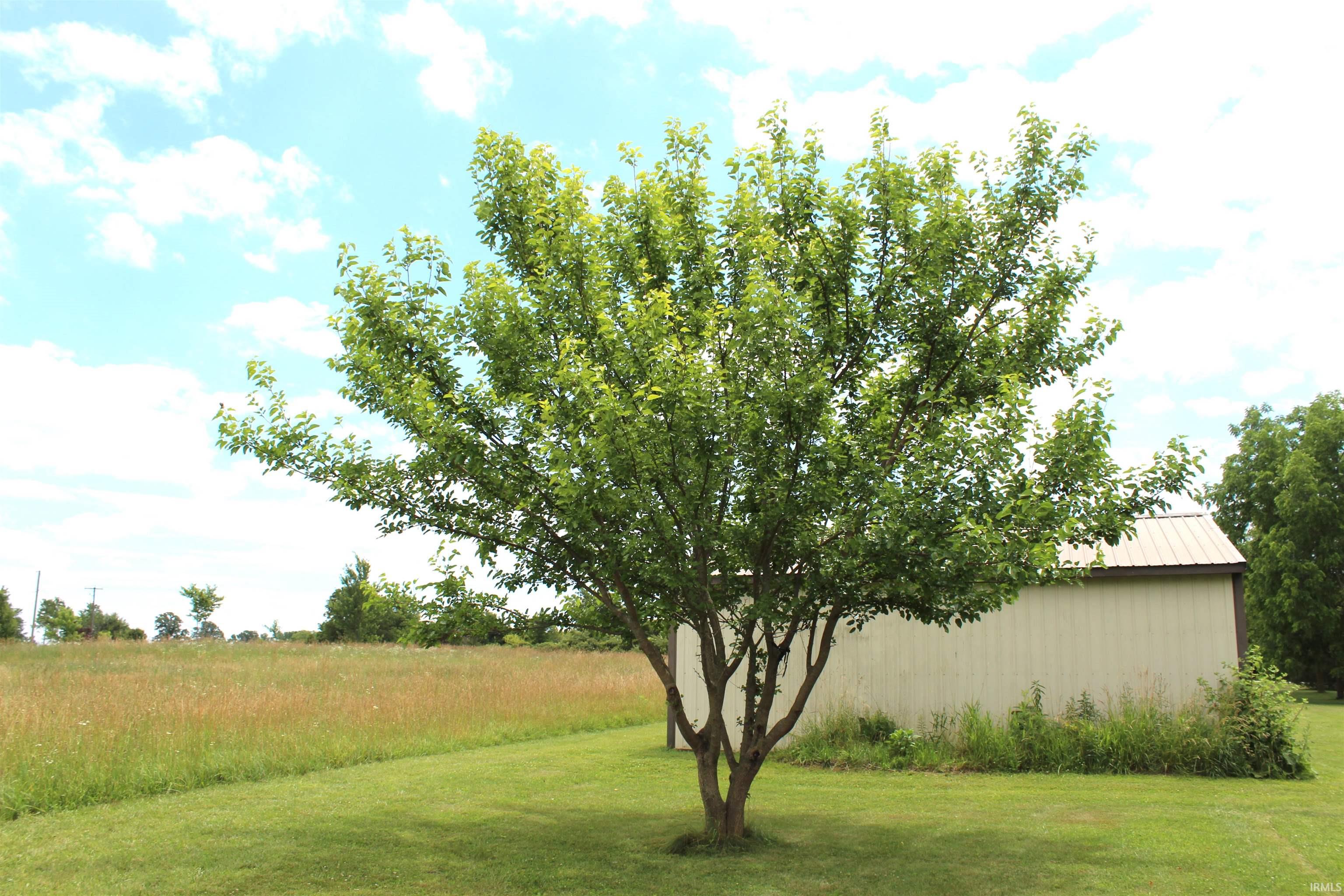 4339 Highway 6 Waterloo, IN 46793 - Photo 11 of 20