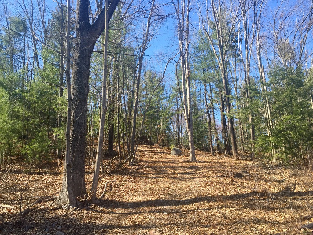27 Sheep Pasture Road Southwick, MA 01077 - Photo 2 of 3 Gallery Image 2