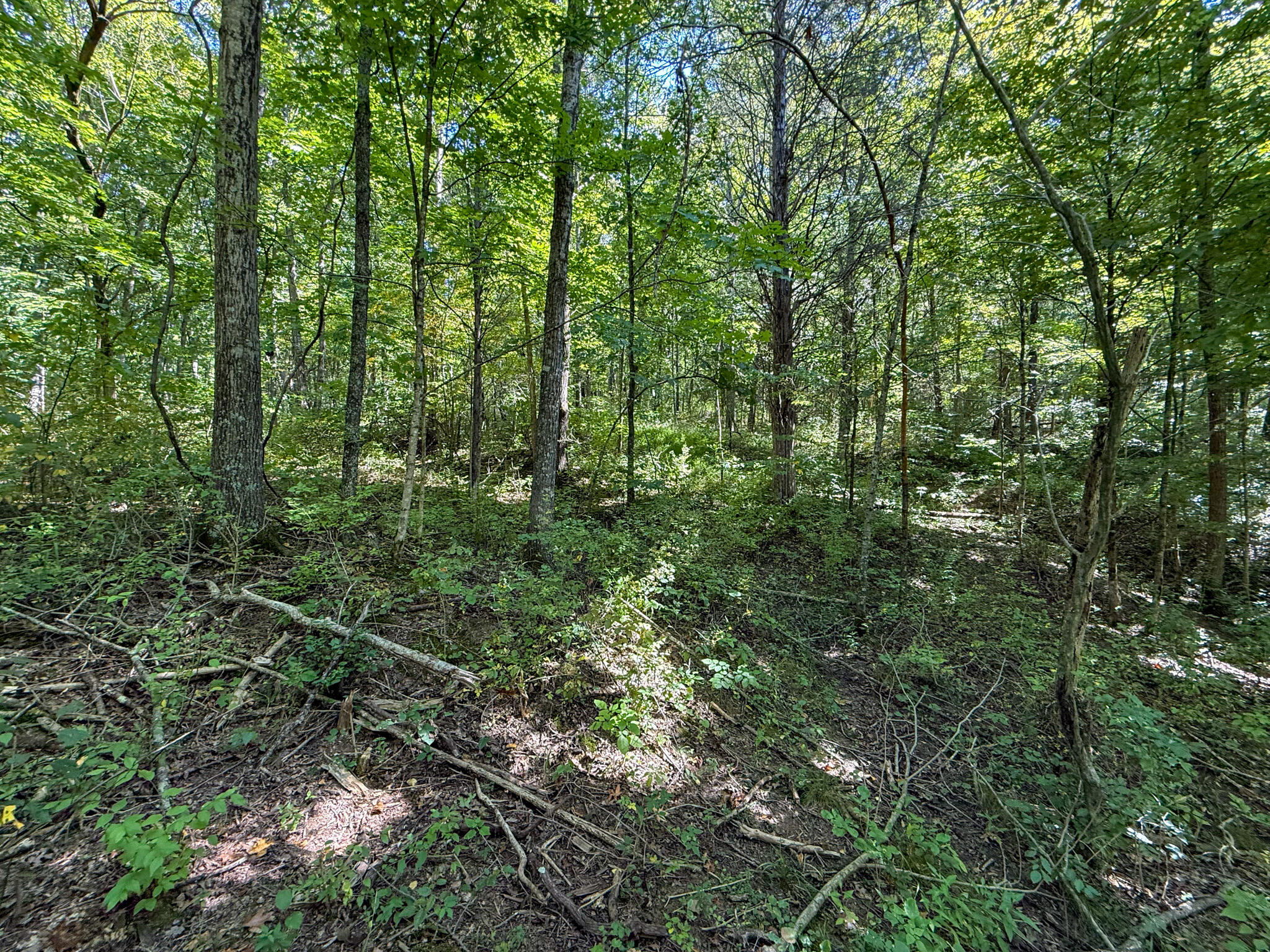 10008 Riddles Run Road Union, KY 41091 - Photo 39 of 50 Gallery Image 39