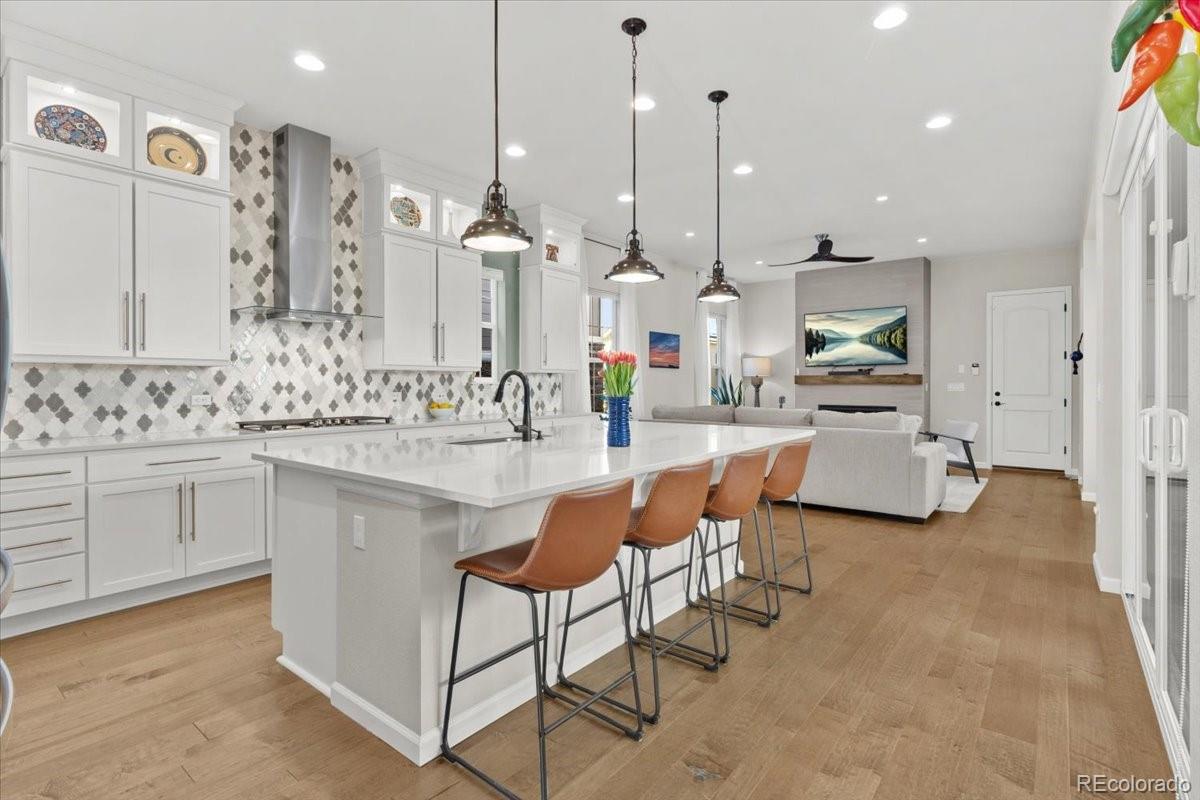 1045 Brocade Drive Highlands Ranch, CO 80126 - Photo 2 of 41