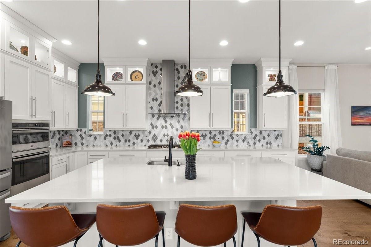 1045 Brocade Drive Highlands Ranch, CO 80126 - Photo 3 of 41