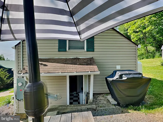 a view of backyard with potted plants and large tree