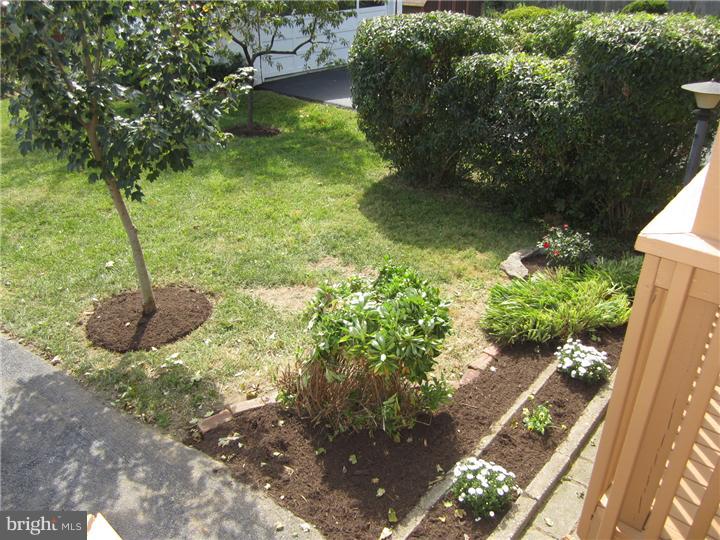 431 Sagamore Road Havertown, PA 19083 - Photo 22 of 25