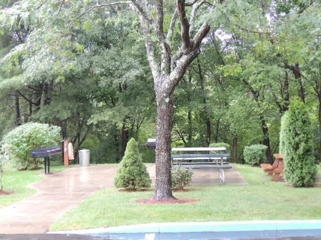a view of a swimming pool with a table and chairs under an umbrella