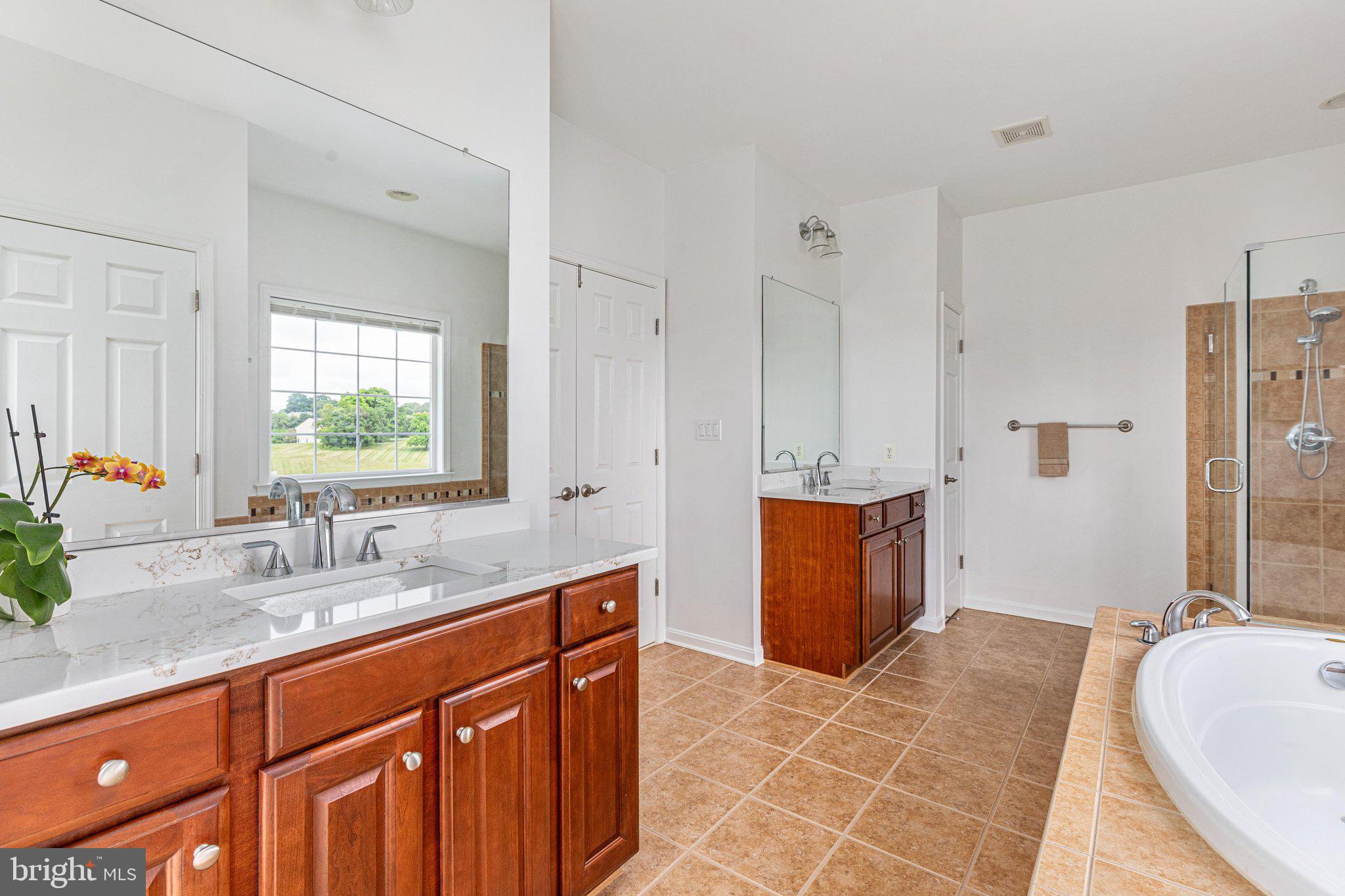 38786 Rambling Farm Drive Hamilton, VA 20158 - Photo 42 of 97 Primary bath. All new quartz counters.