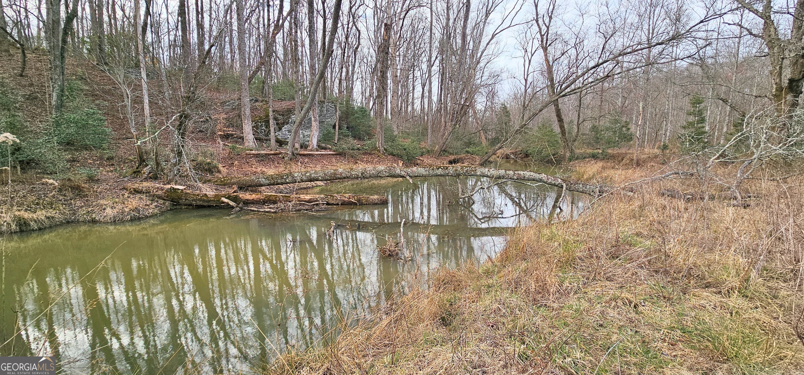0 Gladston Road Mount Airy, GA 30563 - Photo 17 of 52 Gallery Image 17