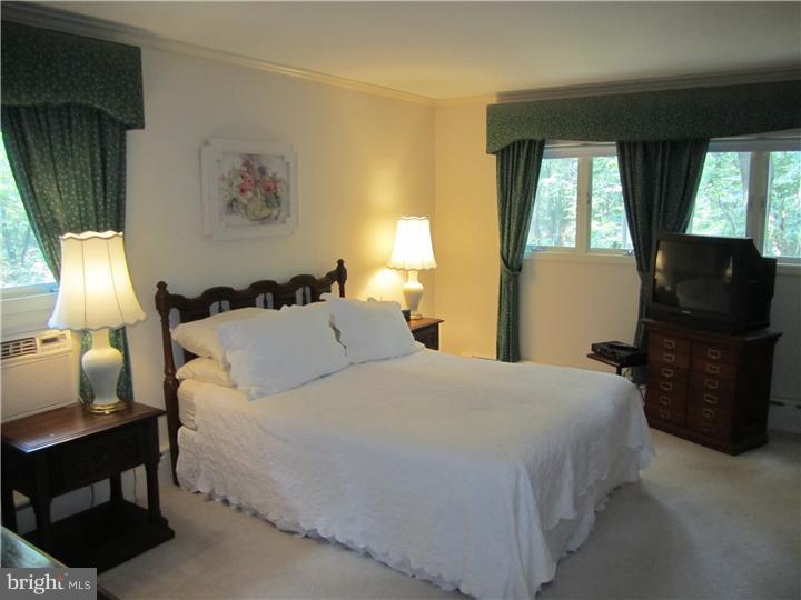 28 Far View Road Chalfont, PA 18914 - Photo 11 of 18 Master Bedroom