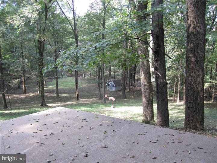 28 Far View Road Chalfont, PA 18914 - Photo 17 of 18 Back Yard