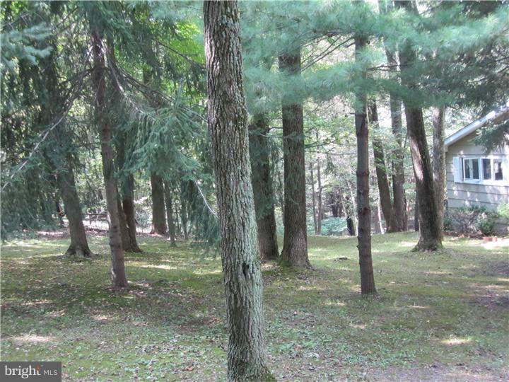 28 Far View Road Chalfont, PA 18914 - Photo 4 of 18 Side Yard