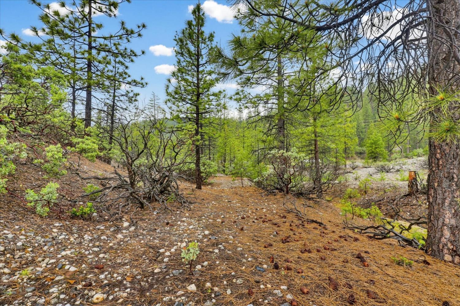 13751 Sailor Flat Road Nevada City, CA 95959 - Photo 45 of 49