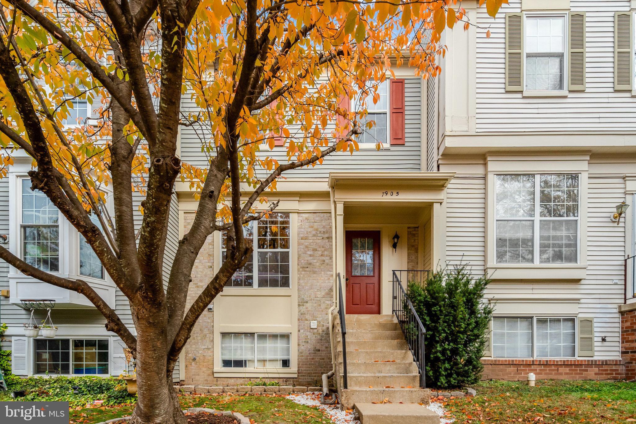 7905 Rebel Walk Drive Manassas, VA 20109 - Photo 2 of 51 a view of a building with a tree