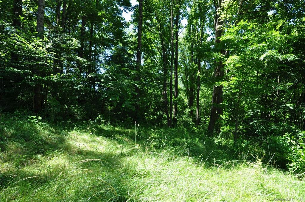 Tbd Sallys Branch Road Clyde, NC 28721 - Photo 2 of 23