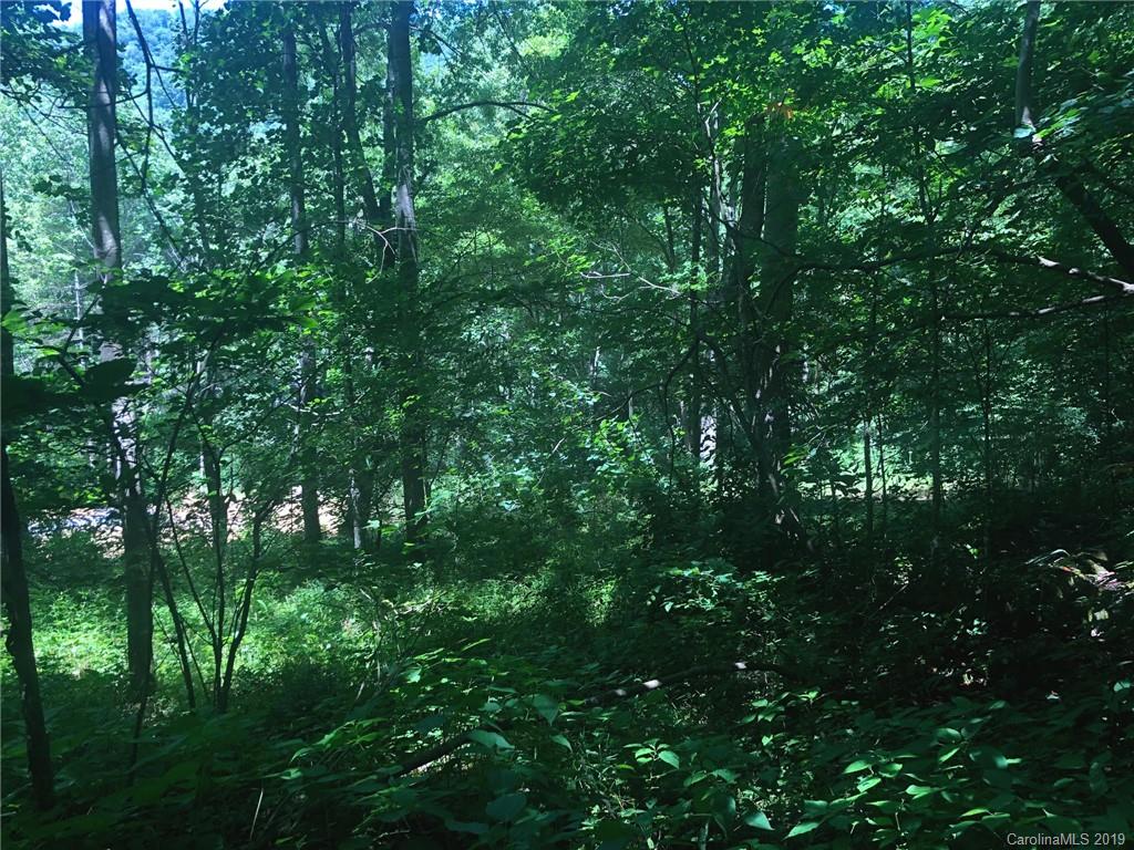 Tbd Sallys Branch Road Clyde, NC 28721 - Photo 12 of 23