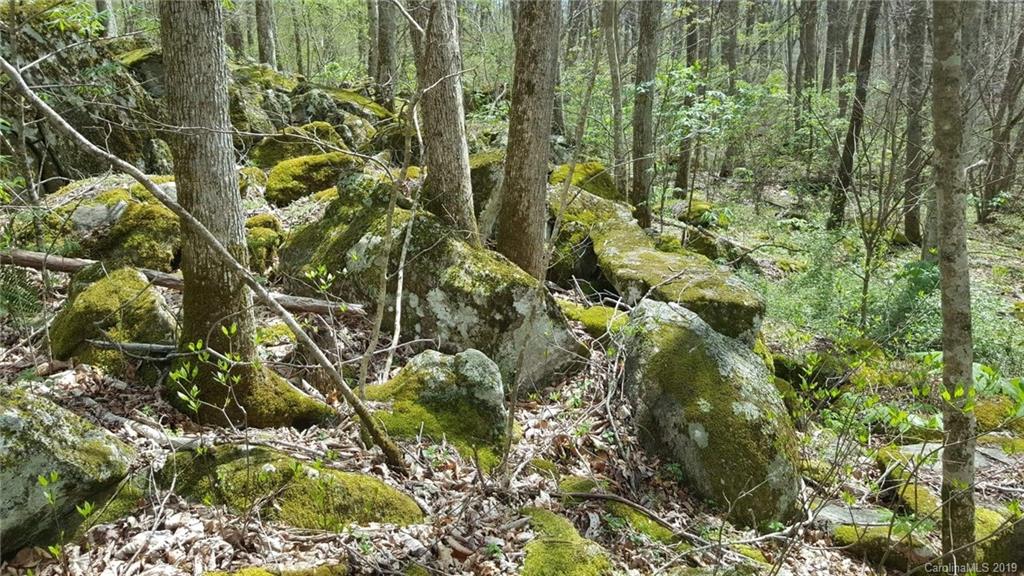 Tbd Sallys Branch Road Clyde, NC 28721 - Photo 13 of 23