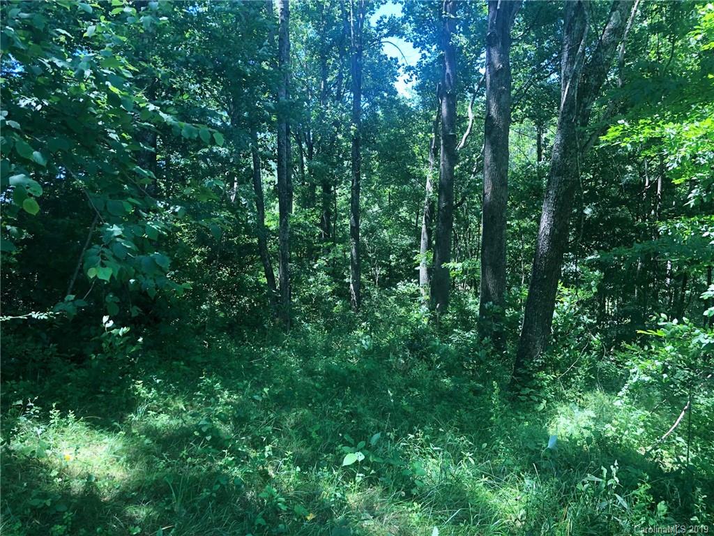 Tbd Sallys Branch Road Clyde, NC 28721 - Photo 17 of 23