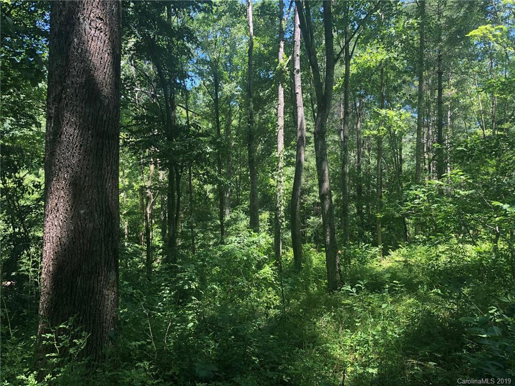 Tbd Sallys Branch Road Clyde, NC 28721 - Photo 18 of 23