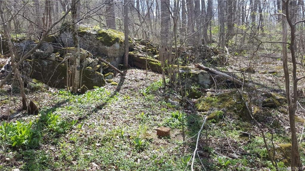 Tbd Sallys Branch Road Clyde, NC 28721 - Photo 3 of 23