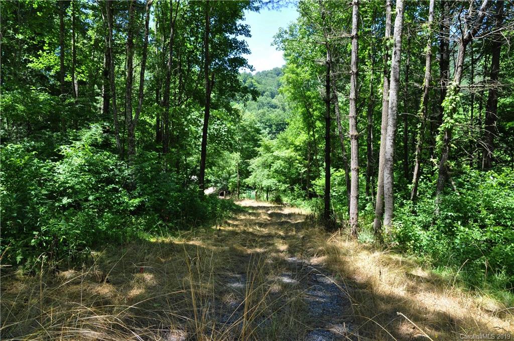 Tbd Sallys Branch Road Clyde, NC 28721 - Photo 4 of 23