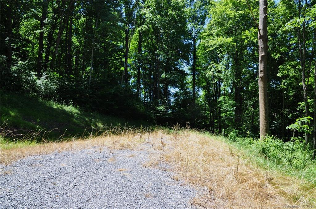 Tbd Sallys Branch Road Clyde, NC 28721 - Photo 7 of 23